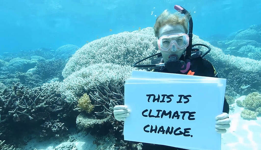 Great Barrier Reef Mass Coral Bleaching Event Great Barrier Reef Mass Coral Bleaching Event